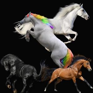 Hors D'oeuvres (feat. RokHowz, ED Wrd & Dreis Major) (Explicit)