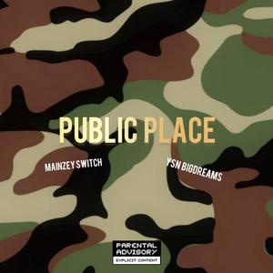 PUBLIC PLACE (Explicit)