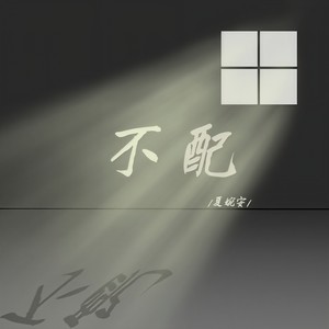 不配 (DJ沈念版)封面