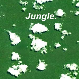 Jungle (Explicit)