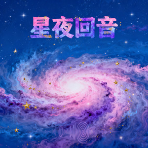 星夜回音