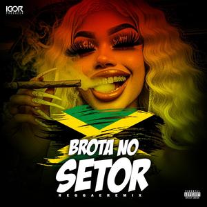 BROTA NO MEU SETOR (Reggae Funk Remix)