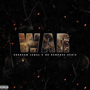 War (feat. Noremorse Genie & Daplugproduction) [Radio Edit]