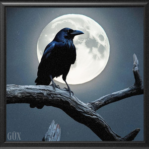 Crow In The Night