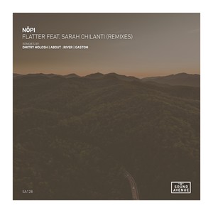 Flatter (Dmitry Molosh Remix)
