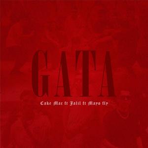 GATA (feat. Mayofly & Jalil Chavez) (Explicit)