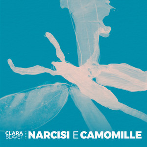 Narcisi e Camomille