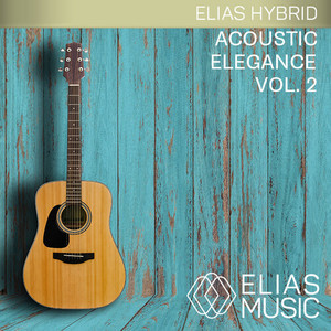 Acoustic Elegance, Vol. 2