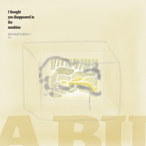 我以为你消失在阳光中了 (I Thought You Disappeared in the Sunshine)