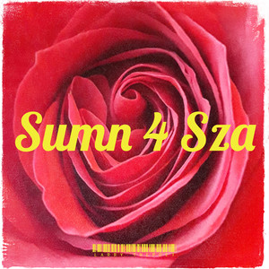 Sumn 4 Sza (Explicit)