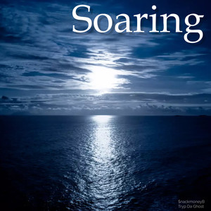 Soaring (Explicit)