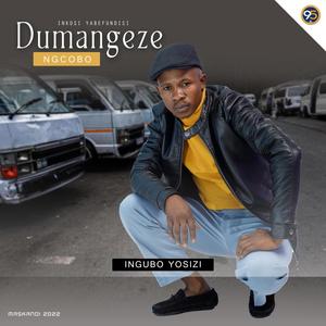 Nishinge kabi (feat. MEHLABOMVU & MASHINGA SBIYA)