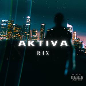 Aktiva (Explicit)