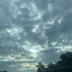 Crazystory Pt2 (Explicit)