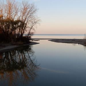 estuary. (feat. wolfrum. & TameCheetah Beats) (everglades 2) (Explicit)