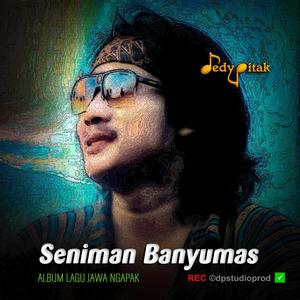 Seniman Banyumas (feat. Musik Jawa, Lagu Jawa, Jawa Ngapak, Penginyongan, Lagu Banyumas, Musisi Banyumas & @dpstudioprod)