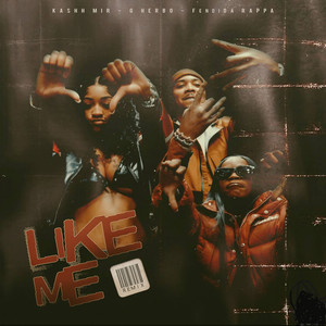 Like Me (Remix)