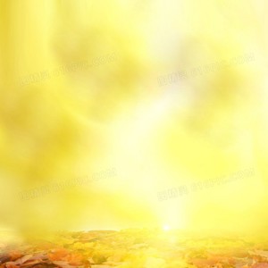 初恋伴奏 (伴奏)