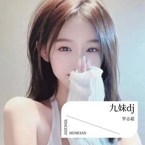 九妹，九妹 (罗志超 remix)封面