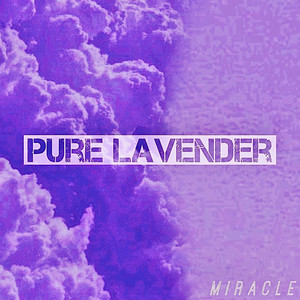 Pure Lavender