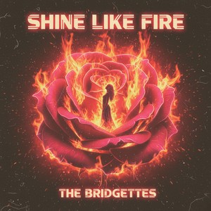 Shine Like Fire (Radio Edit)
