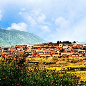 共产党，卡沙沙！