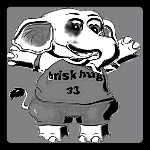 Brisk Hug 33