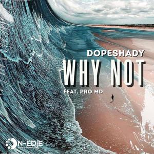 Why Not (feat. Pro-MD)