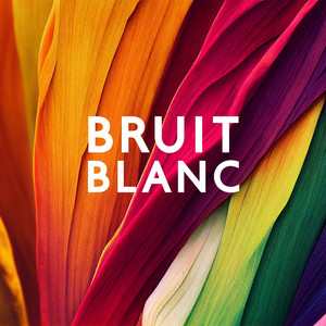 Bruit blanc, Bruit vert, Bruit rose, Bruit brun, Bruit jaune, Bruit rouge