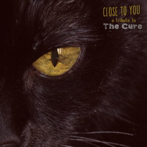 Prayers for Rain (Spanish Vs)