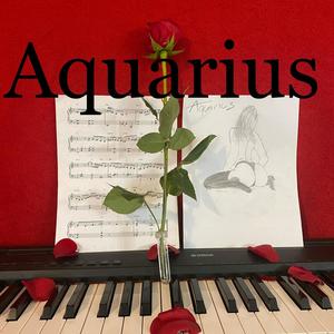 Aquarius Remix (Radio Edit)