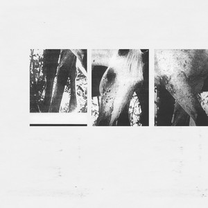 Veneer of Tolerance (Zadig / Day Is Dying Remix)