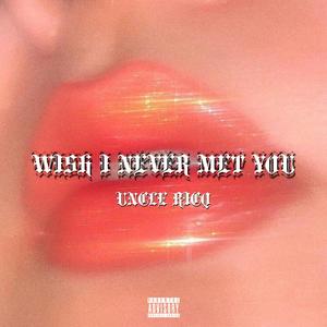 Wish I Never Met You (Explicit)