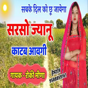 Sarsu Jyanu Kategi(feat. Rocky Meena)(Meena Song)
