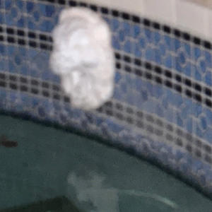 marty gras (prod.me)