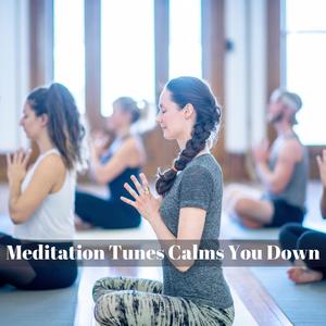 Healing Pleasures Of Life (Original Mix)