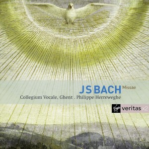 Bach, JS: Mass in A Major, BWV 234 - Bach, JS: Mass in A Major, BWV 234: Domine Deus