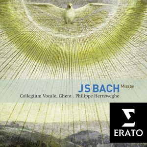 Philippe Herreweghe - Bach, JS: Mass in F Major, BWV 233 - Bach, JS: Mass in F Major, BWV 233: Qui tollis