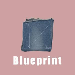 Blueprint (feat. ToRi)