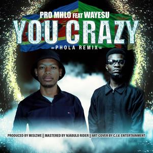 You Crazy (feat. Wayesu) [Explicit]