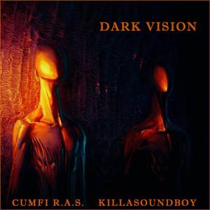 DARK VISION