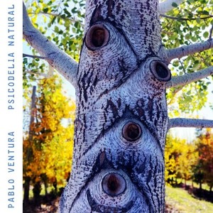 Pablo Ventura - Tucán