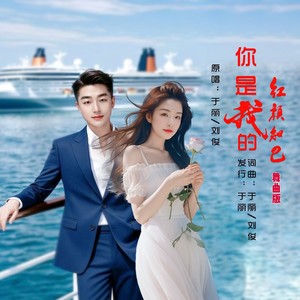 你是我的红颜知己 (舞曲版)