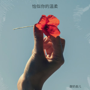恰似你的温柔（某年某月的某一天）