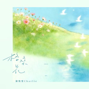 格桑花 (等格桑花开)