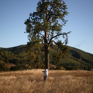 Dissa (Freestyle) (Explicit)