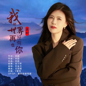 我的世界再也没有你 (DJ默涵版)