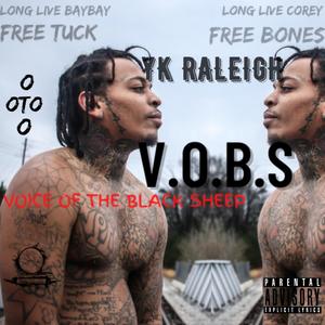 V.O.B.S (Voice Of The Black Sheep) [Explicit]