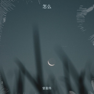 怎么了 (Demo)
