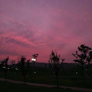 摘星